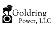 Goldring Power